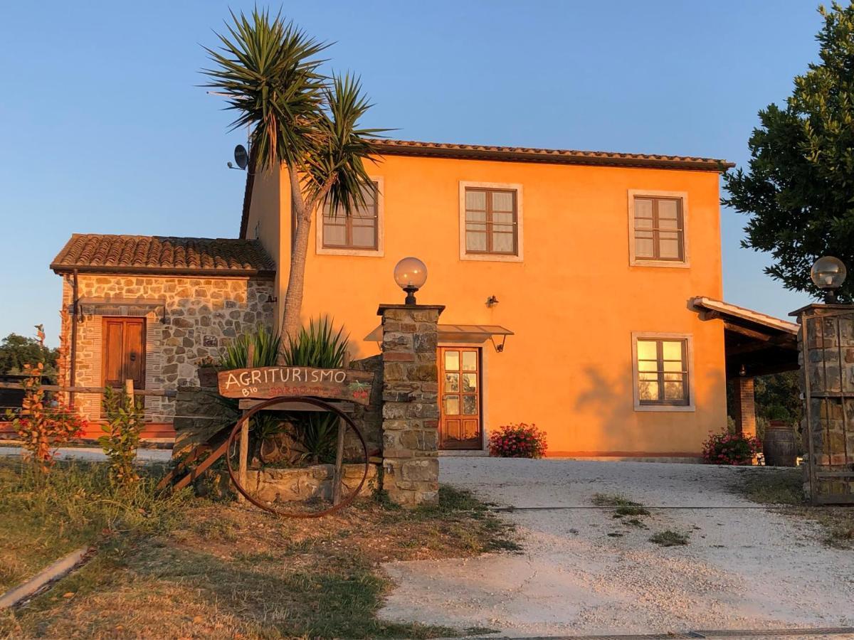 Agriturismo Il Saragiolo Villa Montemerano Ngoại thất bức ảnh